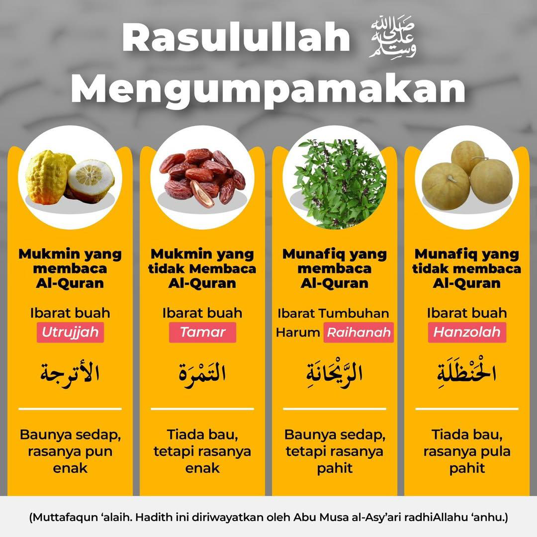 Infografis perumpamaan Rasulullah ﷺ: mukmin pembaca bagai Utrujjah, mukmin tidak membaca bagai Tamroh, munafik pembaca bagai Raihanah, munafik tidak membaca bagai Hanzolah